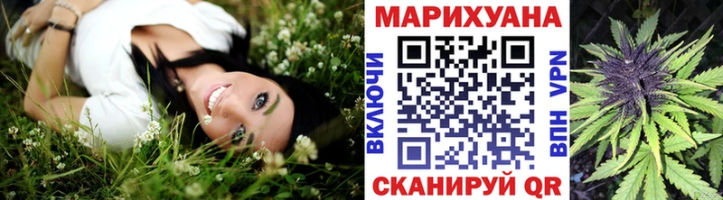 Бошки Шишки семена  Купить  Бирюч 